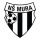 NS Mura