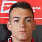 Aljoša Mitrović