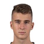 Tarik Saletović