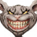 user575