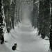 F_C_Bracelona_