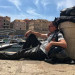 Orhan