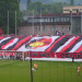kondor11