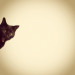 Marko_Ahmed