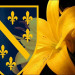 user1663816644