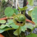 JonesVinnie